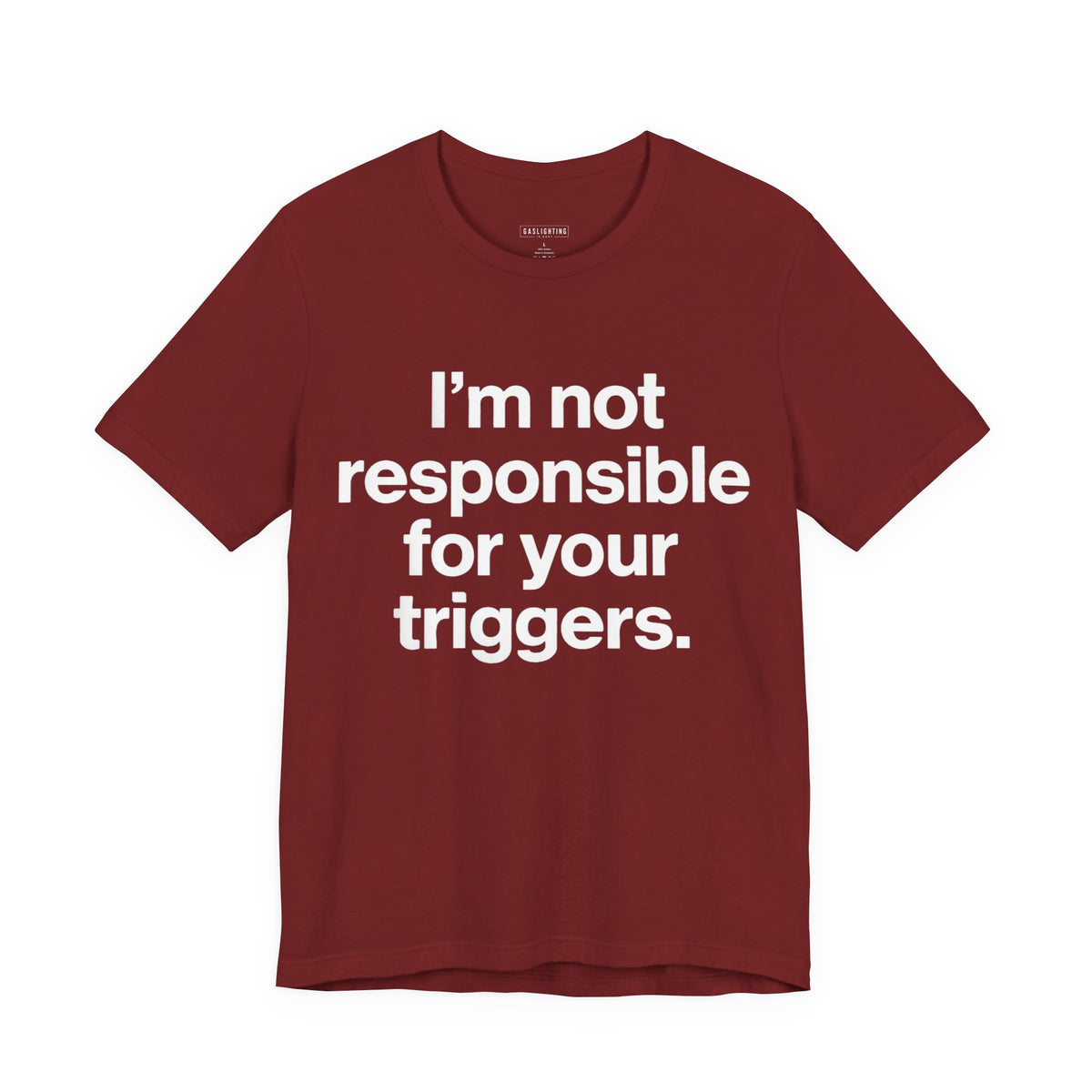 I'm Not Responsible For Your Triggers.